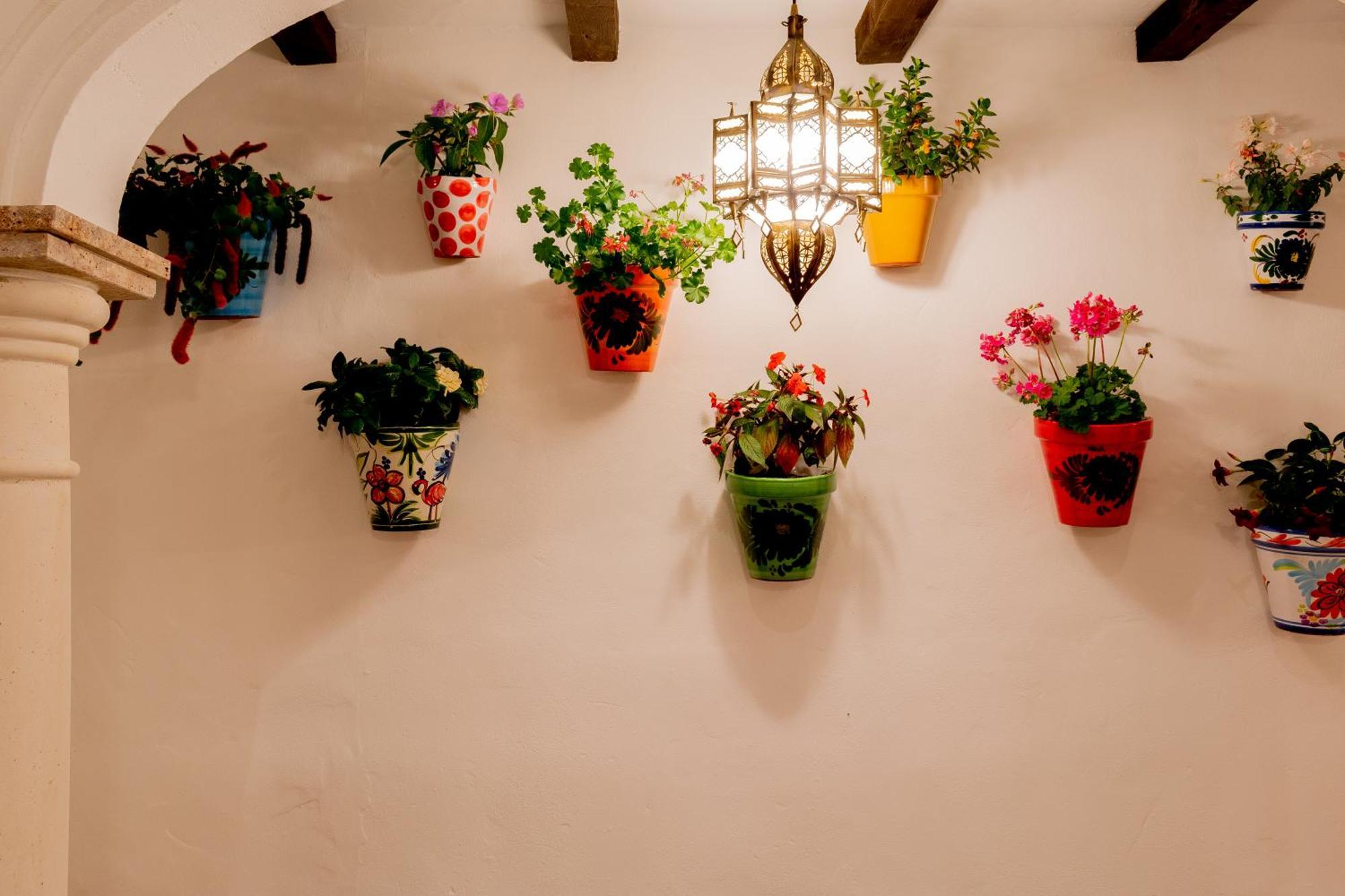 Casa Del Patio - Boutique Apartments (Adults Only) Estepona Eksteriør billede